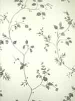 วอลล์เปเปอร์ Flower