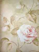 วอลล์เปเปอร์ Flower