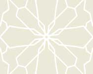 วอลล์เปเปอร์ ESPRIT 5