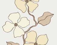 วอลล์เปเปอร์ ESPRIT 5