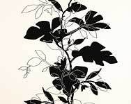 วอลล์เปเปอร์ ESPRIT 5