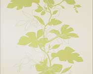 วอลล์เปเปอร์ ESPRIT 5